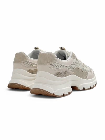 Royalfashion Damen Sportsneaker Totter
