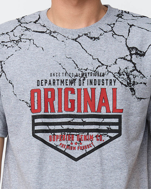 Чоловіча сіра футболка з принтом - Одяг