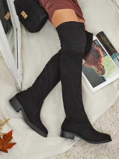 Жіночі ботфорти з еко-замші Denvoria