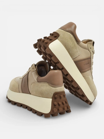 Sportliche Damen-Sneakers aus Naturleder Naterre