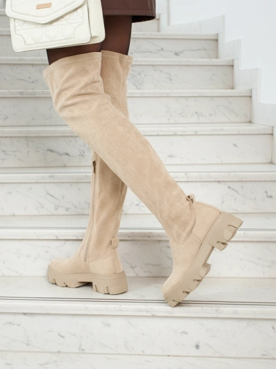 Жіночі ботфорти з еко-замші Maelin