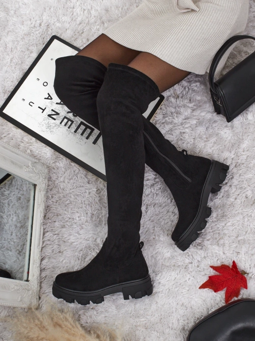 Жіночі ботфорти з еко-замші Maelin