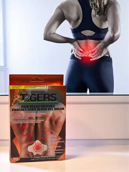 Schmerzpflaster für Rückenschmerzen, 10 Stück