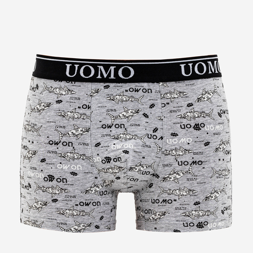 Чоловічі сірі шорти-боксери з принтом- Нижня білизна