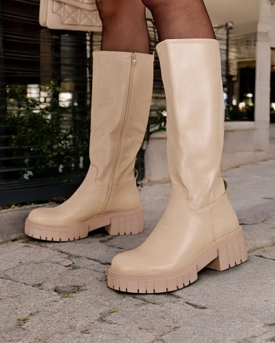 Жіночі чоботи Royalfashion Delomiz