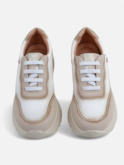 Royalfashion Damen Sneakers Zarrni