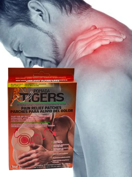 Schmerzpflaster 10 Stück