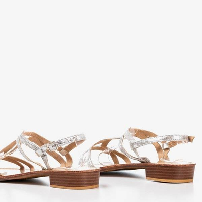 Silberne Damen-Sandalen mit niedrigen Absätzen Treunia - Footwear 1